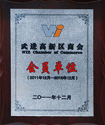 武進(jìn)高新區(qū)商會(huì)會(huì)員單位.jpg